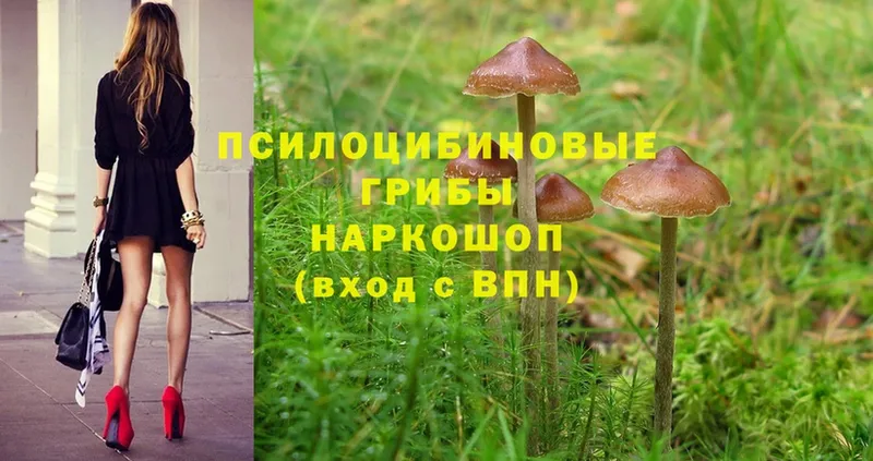 Галлюциногенные грибы Magic Shrooms Белозерск