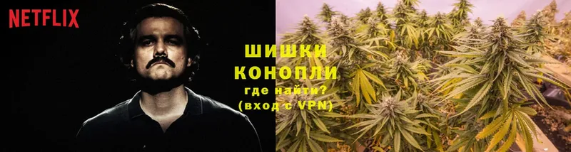 где найти наркотики  Белозерск  Каннабис OG Kush 